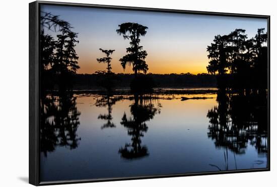 Lake Martin at Sunset with Bald Cypress Sihouette, Louisiana, USA-Alison Jones-Framed Photographic Print