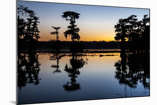 Lake Martin at Sunset with Bald Cypress Sihouette, Louisiana, USA-Alison Jones-Mounted Photographic Print