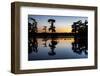 Lake Martin at Sunset with Bald Cypress Sihouette, Louisiana, USA-Alison Jones-Framed Photographic Print