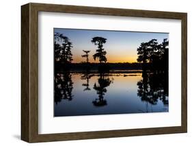 Lake Martin at Sunset with Bald Cypress Sihouette, Louisiana, USA-Alison Jones-Framed Photographic Print