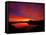 Lake Mashu in Dawn-null-Framed Stretched Canvas