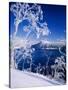 Lake Mashu in Winter-null-Stretched Canvas