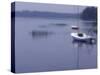 Lake Massabesio Manchester, New Hampshire, USA-null-Stretched Canvas