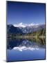 Lake Matheson and Mt.Cook, South Island, New Zealand-Steve Vidler-Mounted Photographic Print