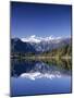 Lake Matheson and Mt.Cook, South Island, New Zealand-Steve Vidler-Mounted Photographic Print
