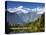 Lake Matheson, Mount Tasman and Mount Cook, Westland Tai Poutini National Park, New Zealand-Jochen Schlenker-Stretched Canvas