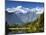 Lake Matheson, Mount Tasman and Mount Cook, Westland Tai Poutini National Park, New Zealand-Jochen Schlenker-Mounted Premium Photographic Print