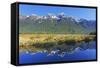 Lake Matheson Reflections, Fiordland National Park, Milford Sound, South Island, New Zealand-Marco Simoni-Framed Stretched Canvas