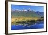 Lake Matheson Reflections, Fiordland National Park, Milford Sound, South Island, New Zealand-Marco Simoni-Framed Photographic Print