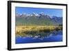 Lake Matheson Reflections, Fiordland National Park, Milford Sound, South Island, New Zealand-Marco Simoni-Framed Photographic Print