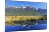 Lake Matheson Reflections, Fiordland National Park, Milford Sound, South Island, New Zealand-Marco Simoni-Mounted Photographic Print