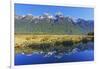 Lake Matheson Reflections, Fiordland National Park, Milford Sound, South Island, New Zealand-Marco Simoni-Framed Photographic Print