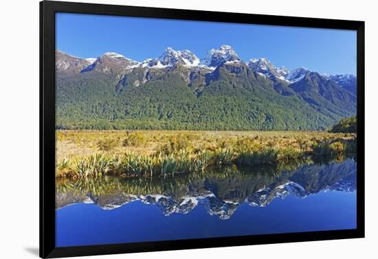 Lake Matheson Reflections, Fiordland National Park, Milford Sound, South Island, New Zealand-Marco Simoni-Framed Photographic Print