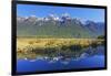 Lake Matheson Reflections, Fiordland National Park, Milford Sound, South Island, New Zealand-Marco Simoni-Framed Premium Photographic Print