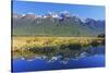 Lake Matheson Reflections, Fiordland National Park, Milford Sound, South Island, New Zealand-Marco Simoni-Stretched Canvas