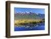 Lake Matheson Reflections, Fiordland National Park, Milford Sound, South Island, New Zealand-Marco Simoni-Framed Photographic Print