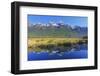 Lake Matheson Reflections, Fiordland National Park, Milford Sound, South Island, New Zealand-Marco Simoni-Framed Photographic Print