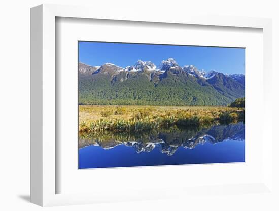 Lake Matheson Reflections, Fiordland National Park, Milford Sound, South Island, New Zealand-Marco Simoni-Framed Photographic Print