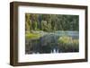 Lake Matheson, West Coast, South Island, New Zealand-Rainer Mirau-Framed Photographic Print