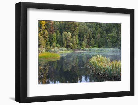 Lake Matheson, West Coast, South Island, New Zealand-Rainer Mirau-Framed Photographic Print