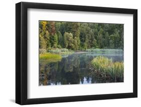 Lake Matheson, West Coast, South Island, New Zealand-Rainer Mirau-Framed Photographic Print