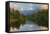 Lake Matheson with Mount Cook and Mount Tasman, West Coast, South Island, New Zealand, Pacific-Stuart Black-Framed Stretched Canvas