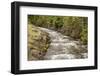 Lake McDonald, Montana, USA. Snyder Creek next to the education facility and Lake McDonald Lodge.-Janet Horton-Framed Photographic Print