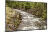 Lake McDonald, Montana, USA. Snyder Creek next to the education facility and Lake McDonald Lodge.-Janet Horton-Mounted Photographic Print