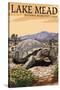 Lake Mead - National Recreation Area - Tortoise-Lantern Press-Stretched Canvas