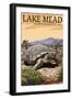 Lake Mead - National Recreation Area - Tortoise-Lantern Press-Framed Art Print