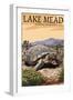 Lake Mead - National Recreation Area - Tortoise-Lantern Press-Framed Art Print