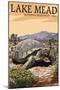Lake Mead - National Recreation Area - Tortoise-Lantern Press-Mounted Art Print