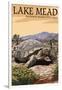 Lake Mead - National Recreation Area - Tortoise-Lantern Press-Framed Art Print