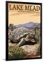 Lake Mead - National Recreation Area - Tortoise-Lantern Press-Framed Art Print