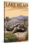 Lake Mead - National Recreation Area - Tortoise-Lantern Press-Stretched Canvas