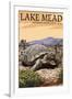 Lake Mead - National Recreation Area - Tortoise-Lantern Press-Framed Art Print