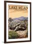 Lake Mead - National Recreation Area - Tortoise-Lantern Press-Framed Art Print