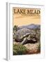 Lake Mead - National Recreation Area - Tortoise-Lantern Press-Framed Art Print