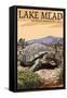 Lake Mead - National Recreation Area - Tortoise-Lantern Press-Framed Stretched Canvas