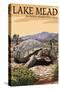 Lake Mead - National Recreation Area - Tortoise-Lantern Press-Stretched Canvas