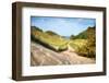 Lake Michigan Coastal Dune Path-Michelle Calkins-Framed Photo