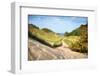 Lake Michigan Coastal Dune Path-Michelle Calkins-Framed Photo