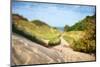 Lake Michigan Coastal Dune Path-Michelle Calkins-Mounted Photo