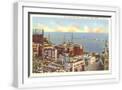 White Frame