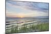 Lake Michigan Sunset III-Alan Majchrowicz-Mounted Premium Giclee Print