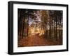 Lake Millinocket at Sunrise, Baxter State Park, Maine, New England, USA, North America-Alan Copson-Framed Photographic Print