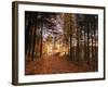 Lake Millinocket at Sunrise, Baxter State Park, Maine, New England, USA, North America-Alan Copson-Framed Photographic Print