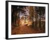 Lake Millinocket at Sunrise, Baxter State Park, Maine, New England, USA, North America-Alan Copson-Framed Photographic Print