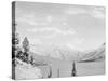 Lake Minnewanka, Alberta-null-Stretched Canvas