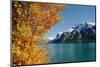 Lake Minnewanka in Autumn,Canadian Rockies,Canada-Tatsuo115-Mounted Photographic Print